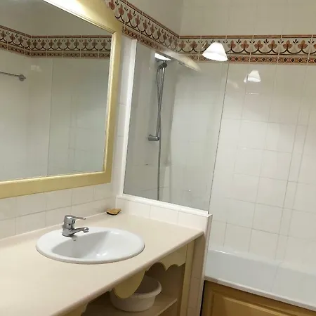 Apartment Le Village